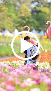 BIB:  <button type="button" onclick="openModal(27583383)" class="btn btn-primary btn-sm float-right" data-toggle="modal" data-target=".modal-high-quality">
                <i class="fa fa-download"></i> Download
                </button>